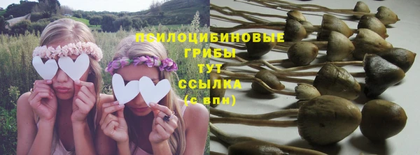 MESCALINE Богородицк